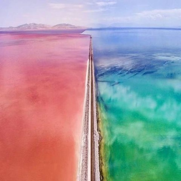 Meet your Posher, Laura - Picture 1 of 1